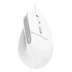 TRUST Bayo II Ergonomic Mouse, ECO certified, White (25397)