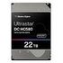 WESTERN DIGITAL Ultrastar DC HC580, 22TB (0F62791 / WUH722422AL5204)