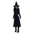 MATTEL Wicked: Singing Elphaba (HYM40)