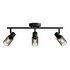 PHILIPS Palms Ceiling/Wall Spotlight 3-Spot, Black (929004105201)