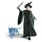SCHLEICH Wizarding World - Harry Potter: Mc Gonagall & Patronus (42682)
