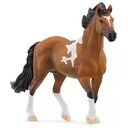 SCHLEICH Horse Club - Mangalarga Marchador Stallion (13978)