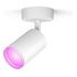 PHILIPS Hue White & Color Ambiance - Fugato (2024) Ceiling/Wall LED Spotlight 1-Spot, White (929003810701)