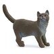 SCHLEICH Farm World - British Shorthair Cat (13973)