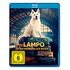 Lampo - Ein Vierbeiner auf Reisen (Blu-ray, 2023, M.Damiecki / L.Zajbert)