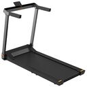 KINGSMITH WalkingPad G1