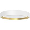 PHILIPS Hanno LED Ceiling Light, 24W, 2700K, White (929004116001)