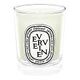 DIPTYQUE Verveine Aromatic Candle 70 g