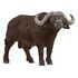 SCHLEICH Wild Life - African Buffalo (14872)