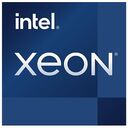 INTEL Xeon E-2436 "Raptor Lake-E", 6x 2.9GHz (5.0GHz), Sockel 1700, Tray (CM8071505025005)