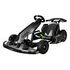 SEGWAY Ninebot by Segway GoKart Pro