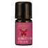 FARFALLA Weihnachtsstern Aromaöl 5 ml