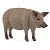 SCHLEICH Farm World - Wollschwein (14892)