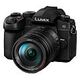 PANASONIC Lumix DC-G97 Kit, G 14-140mm 3.5-5.6 (DC-G97HE)