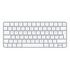 APPLE Magic Keyboard with Touch ID for Apple Silicon Macs [2024], German Layout (MXCK3D/A)