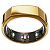 OURA Ring Gen3 Heritage - Size 11, Gold