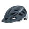 GIRO Radix MIPS Velohelm, L (59-63 cm), Matte Portaro Grey