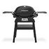 WEBER Q 2200N, EU-Version, Schwarz (1501092)