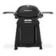 WEBER Q 2200N Premium, CH-Version, Schwarz (1501104)