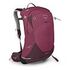 OSPREY Sirrus 24, Elderberry Purple/Chiru Tan