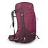 OSPREY Sirrus 36, Elderberry Purple/Chiru Tan