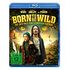 Born to be Wild - Die Jagd nach dem schwarzen Panther (Blu-ray, 2024, N.Fisher / E.Wood)