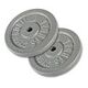 GORILLA SPORTS Gusseisen Hantelscheiben Set, Silber, 2 x 15 kg