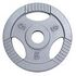 GORILLA SPORTS Iron Gripper Weight Plate - 51mm, Silver, 5kg