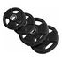 GORILLA SPORTS Olympia Plastic Gripper Weight Plates Professional Set, 2x5kg + 2x10kg