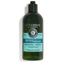 L'OCCITANE Purifiant Shampoo 300 ml