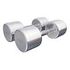 GORILLA SPORTS Chrome Dumbbells, 2x10kg