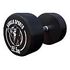 GORILLA SPORTS Rubber Dumbbell, 22.5kg