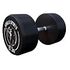 GORILLA SPORTS Rubber Dumbbell, 27.5kg