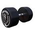 GORILLA SPORTS Rubber Dumbbell, 30kg