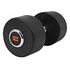 GORILLA SPORTS Rubber Dumbbell Professional, 47.5kg