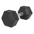 GORILLA SPORTS Hexagon Rubber Dumbbell, 12.5kg