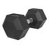 GORILLA SPORTS Hexagon Rubber Dumbbell, 22.5kg