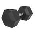 GORILLA SPORTS Hexagon Rubber Dumbbell, 32.5kg