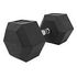 GORILLA SPORTS Hexagon Rubber Dumbbell, 42.5kg