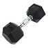 GLADIATORFIT Hex Rubber Dumbbell, 9kg