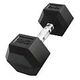 Hex Rubber Dumbbells
