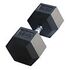 GLADIATORFIT Hex Rubber Dumbbell, 45kg