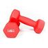 GLADIATORFIT Neoprene Dumbbells, 2x2kg