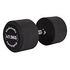 GLADIATORFIT Rubber Dumbbell, 47.5kg