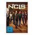 NCIS - Staffel 21 (DVD, 2025, G.Cole / S.Murray)