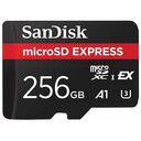 SANDISK microSD Express Card, 256GB (SDSQXFN-256G-GN4NN)