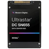 WESTERN DIGITAL Ultrastar DC SN655 Data Center SSD, 30.72TB (0TS2509)