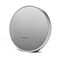 HARMAN/KARDON Onyx Studio 9, Grau