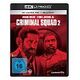 Criminal Squad 2
