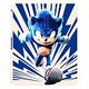 Sonic The Hedgehog 3 (Blu-ray 4K Ultra-HD, Steelbook, 2024)